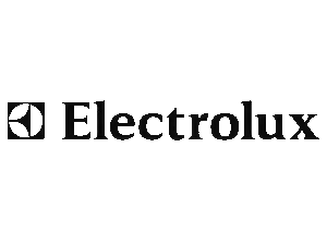 electrolux repair